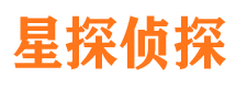 巨鹿市调查公司